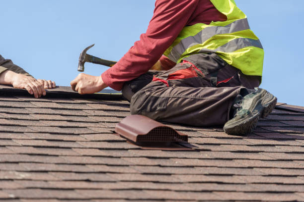 Best Roof Maintenance Services  in River Rouge, MI
