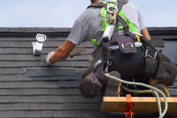 Best Roof Restoration Services  in River Rouge, MI