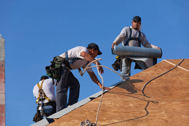Best Residential Roofing Contractor  in River Rouge, MI