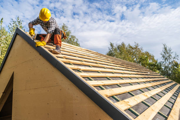 Best Roof Gutter Cleaning  in River Rouge, MI